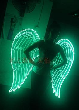 LED 翅膀 (LED Wings)