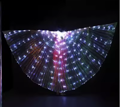 LED 翅膀 (LED Wings)