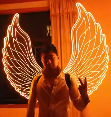 LED 翅膀 (LED Wings)