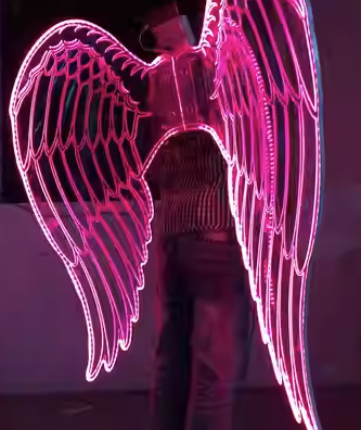 LED 翅膀 (LED Wings)