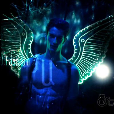 LED 翅膀 (LED Wings)
