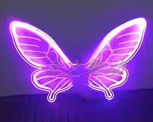 LED 翅膀 (LED Wings)