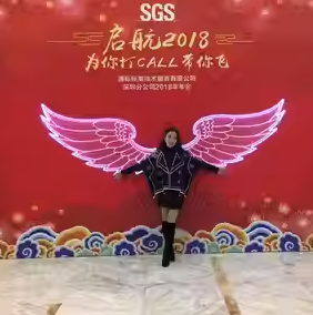 LED 翅膀 (LED Wings)