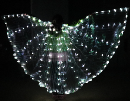 LED 翅膀 (LED Wings)